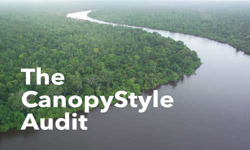 Canopystyle Audit