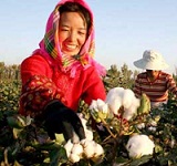 China plays a major role in global cotton market