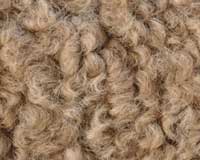 Sustainable fibres in focus for commercial production