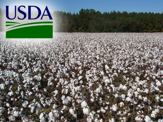 USDA-georgia-cotton