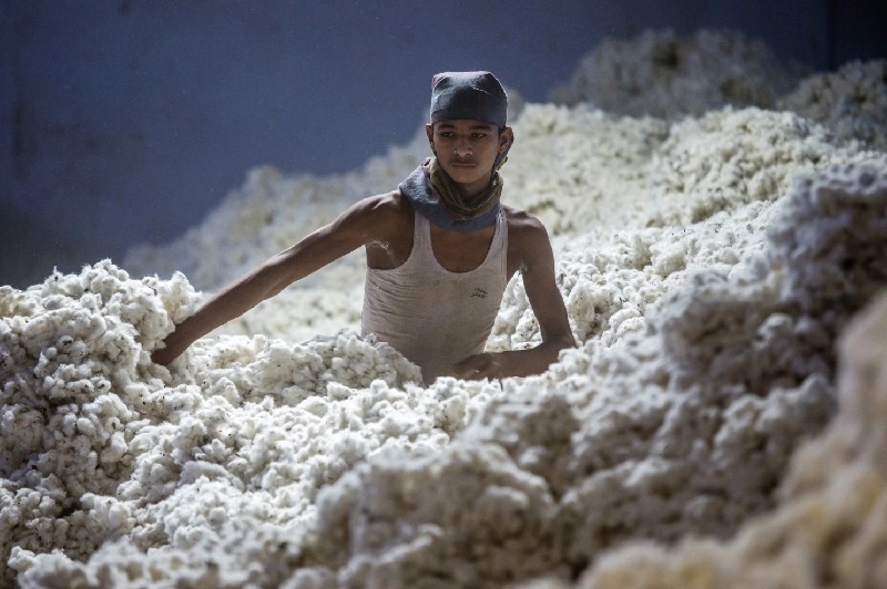ICAC predicts growth slowdown of world cotton consumption