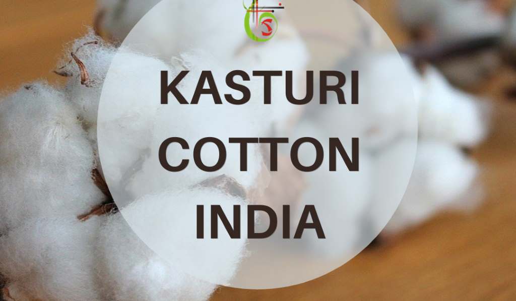 India's Kasturi Cotton initiative a new era for high-quality cotton