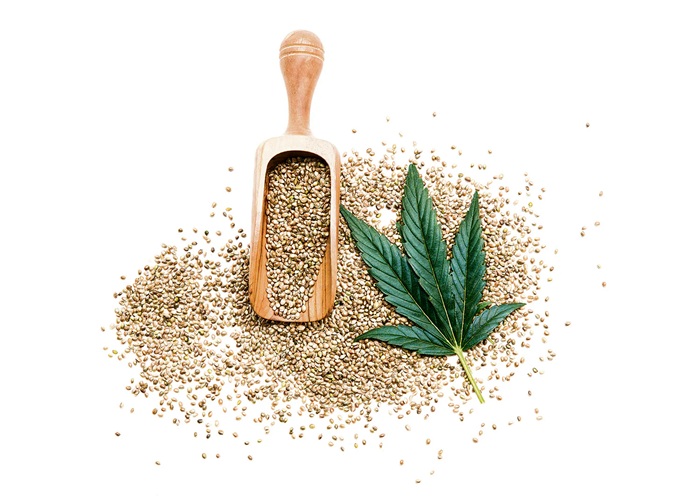 Hemp finds its moment in India’s $500 billion American trade calculus